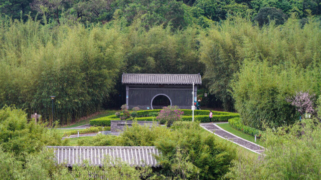深圳簕杜鹃谷公园自然风光
