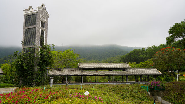 深圳簕杜鹃谷风景