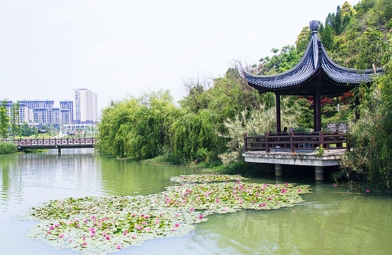 安顺娄湖景色美