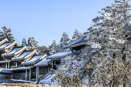 中国四川乐山峨眉山雪景