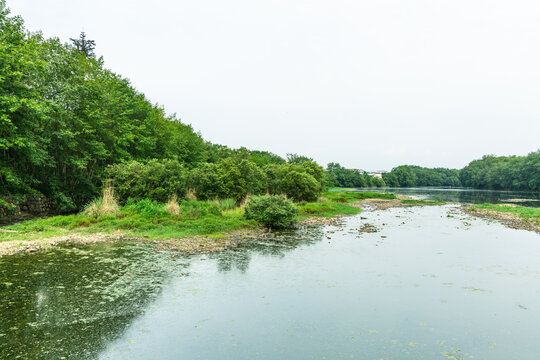 河道绿景