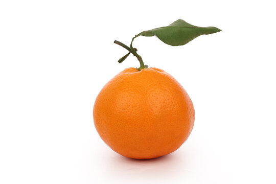 水果橘子桔子果冻橙白底图
