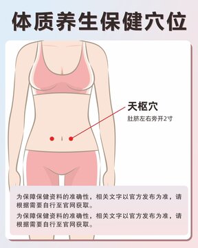 天枢穴手绘保健穴位