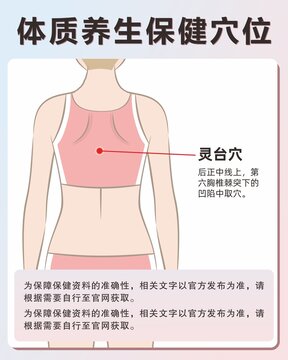 灵台穴手绘保健穴位