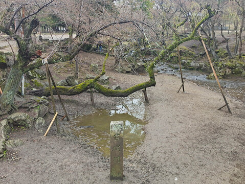 日本奈良吉成川石碑