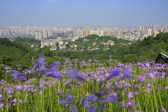 歌乐山俯瞰沙坪坝