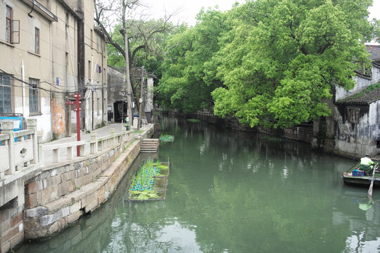 苏州芦墟古镇河景