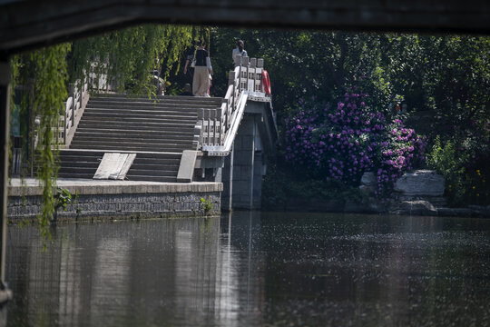 大明湖芙蓉桥图片