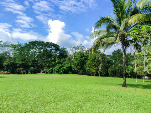 中科院热带植物园