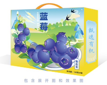 蓝莓鲜果水果盒装飞机盒矢量包装