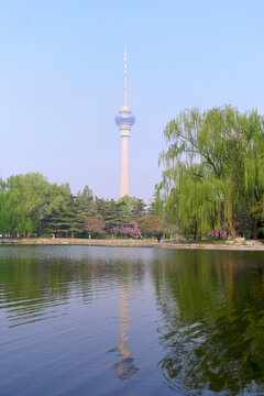 北京玉渊潭公园景观