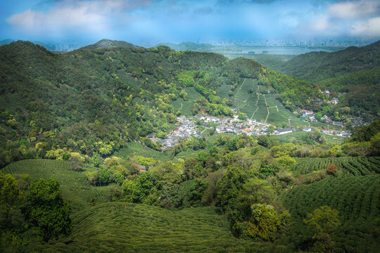 杭州龙井村