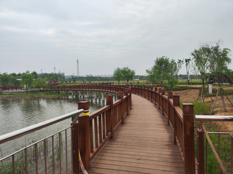 木桥公园
