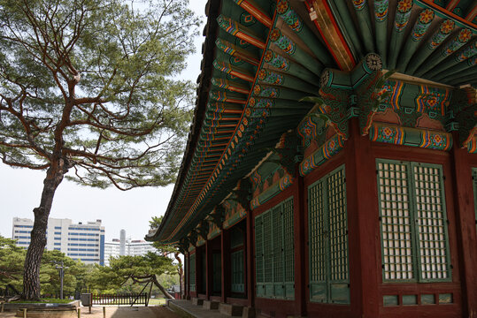 韩国首尔昌庆宫