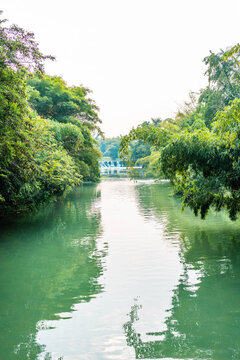 莲花河绿色河流