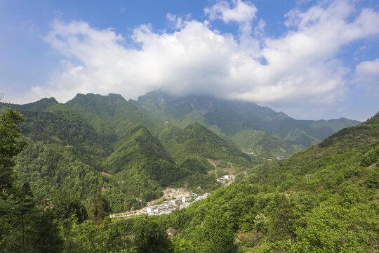 秦岭天竺山