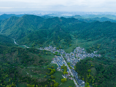 杭州梅家坞茶园