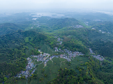 杭州龙井茶园