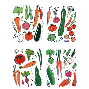 蔬菜插画矢量