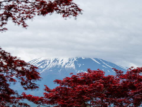 枫叶富士山阴天多云天气