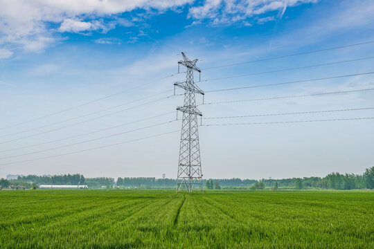 高压电网和绿色麦田
