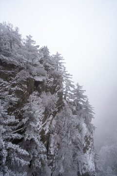 老君山下雪大山森林雾凇景观