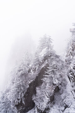 老君山下雪大山森林雾凇景观