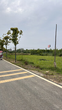 乡间小路