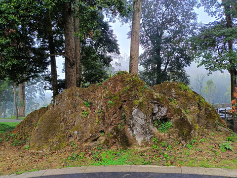 云峰寺路边太湖石假山石