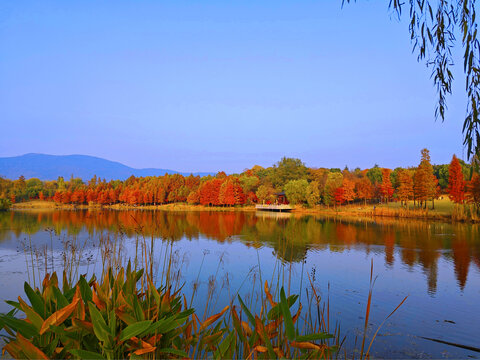 南京燕雀湖秋景