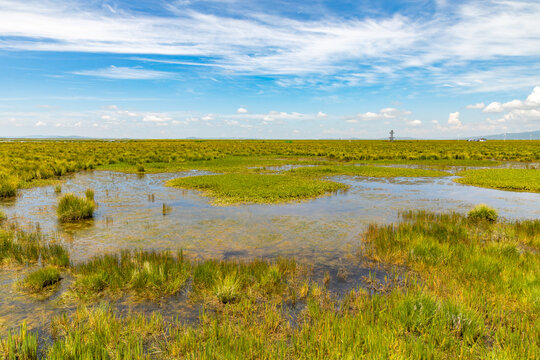 若尔盖花湖草原湿地自然保护区