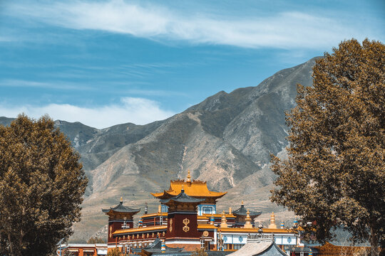 甘南自驾游世界藏学府拉卜楞寺