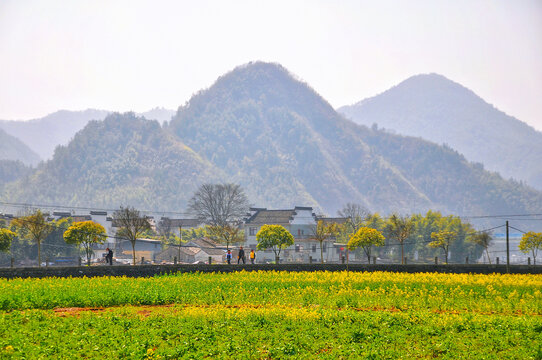 安徽龙川村