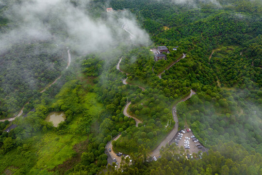 广西临桂桂林之花林业示范区景色