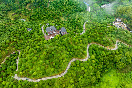 广西临桂桂林之花林业示范区景色