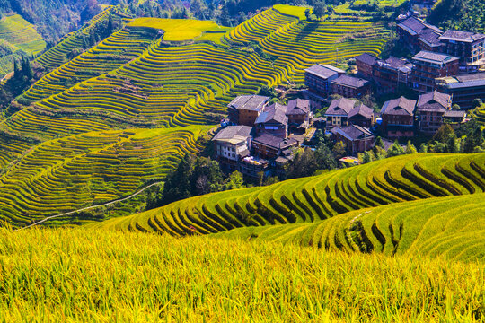 中国广西桂林龙脊梯田日照美景