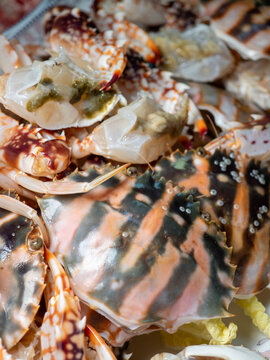 花纹陶瓷碟上的花蟹