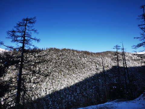 白马雪山