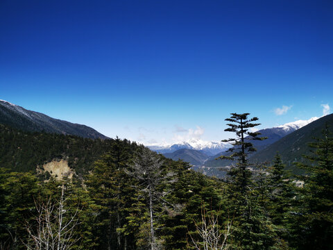 白马雪山