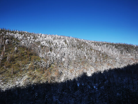 白马雪山