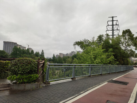 绿植与栏杆
