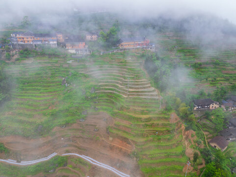 湖南紫鹊界梯田