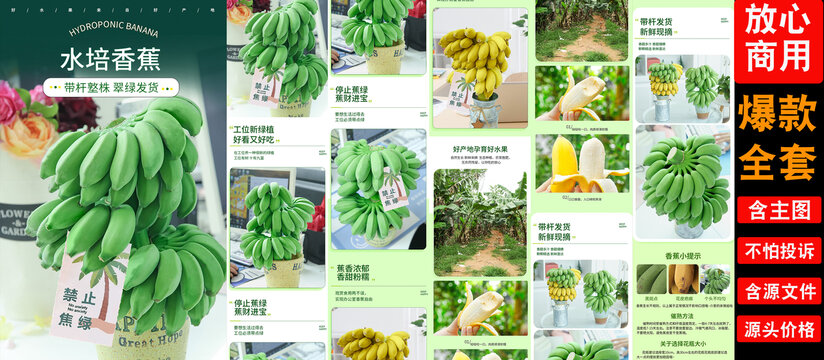 香蕉树详情页