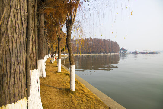 湖北武汉东湖风景区秋天风光
