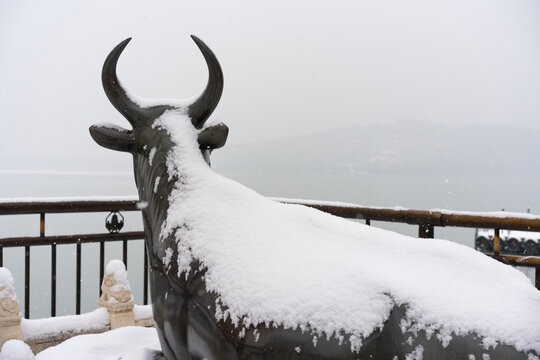 北京颐和园雪中铜牛