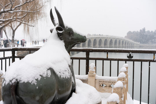北京颐和园雪中铜牛