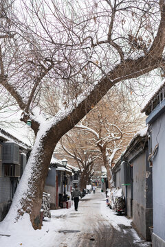 北京下雪中的胡同风景