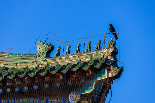 北京天坛风光