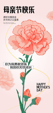 母亲节传统节日妈妈康乃馨花朵