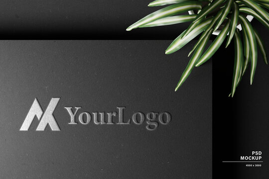 黑色盒子logo贴图样机